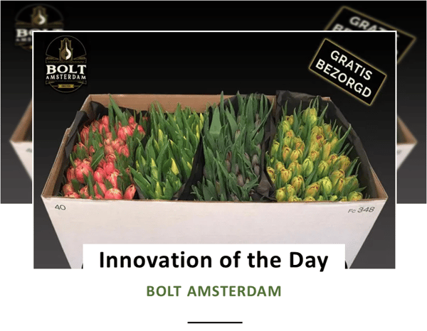 BOLT Amsterdam